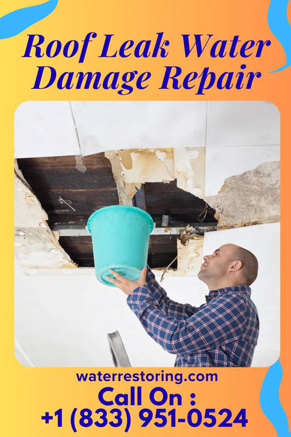 Roof Leak Water Damage Repair in Waumandee, WI