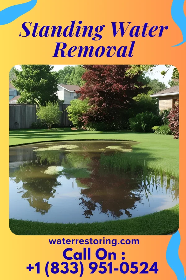 Standing Water Removal in Waumandee, WI